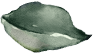 Sri Gayathri Serenity Footer Shape