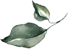 Sri Gayathri Serenity Footer Shape2