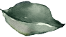 Sri Gayathri Serenity shape2
