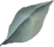 Sri Gayathri Serenity shape