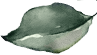 Sri Gayathri Serenity shape2