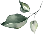 Sri Gayathri Serenity shape2